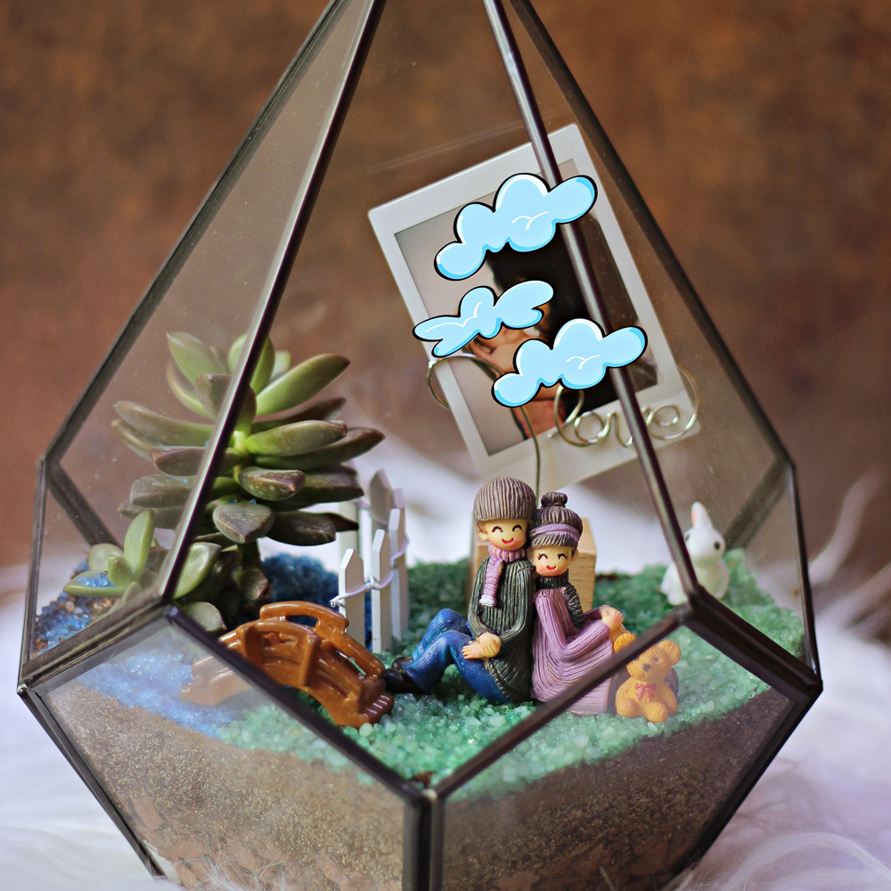 Storm Terrarium Kit at Rs 1249/piece, Dreams Plant in Ahmedabad