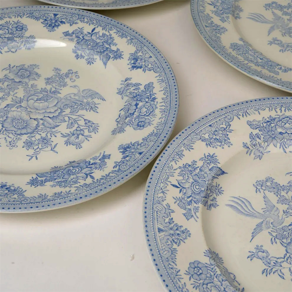 Antique Burliegh Asian Pheasants Dinner Plates | Set of 2