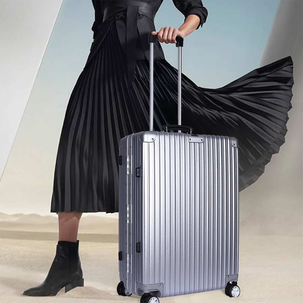 Soho Alluminium Check-In Bag