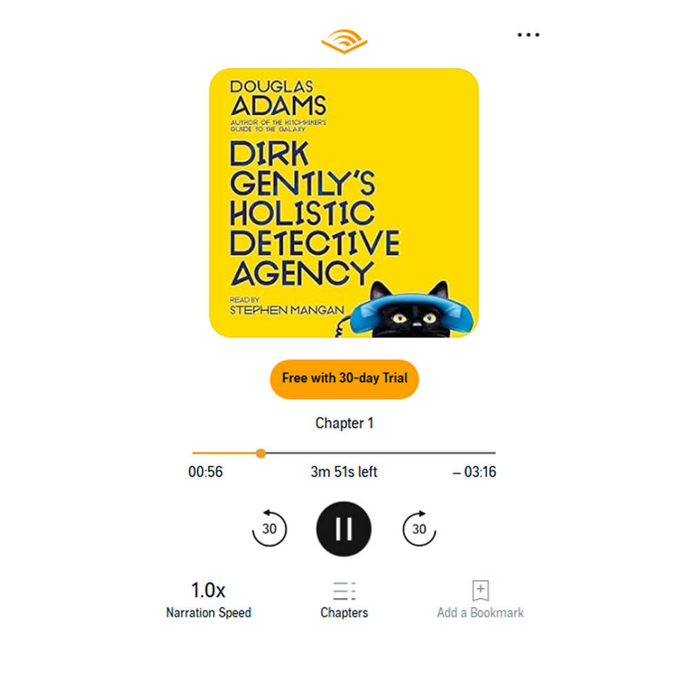 Dirk Gently's Holistic Detective Agency