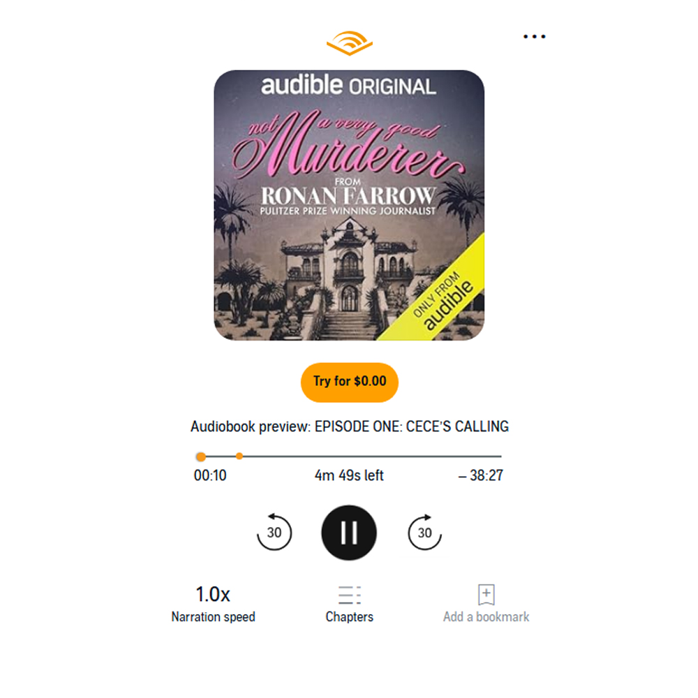 Not A Very Good Murderer