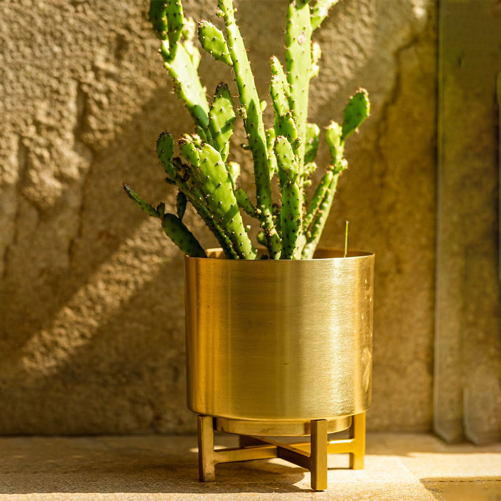 The Pitara Project Planter Gold With Gold Stand