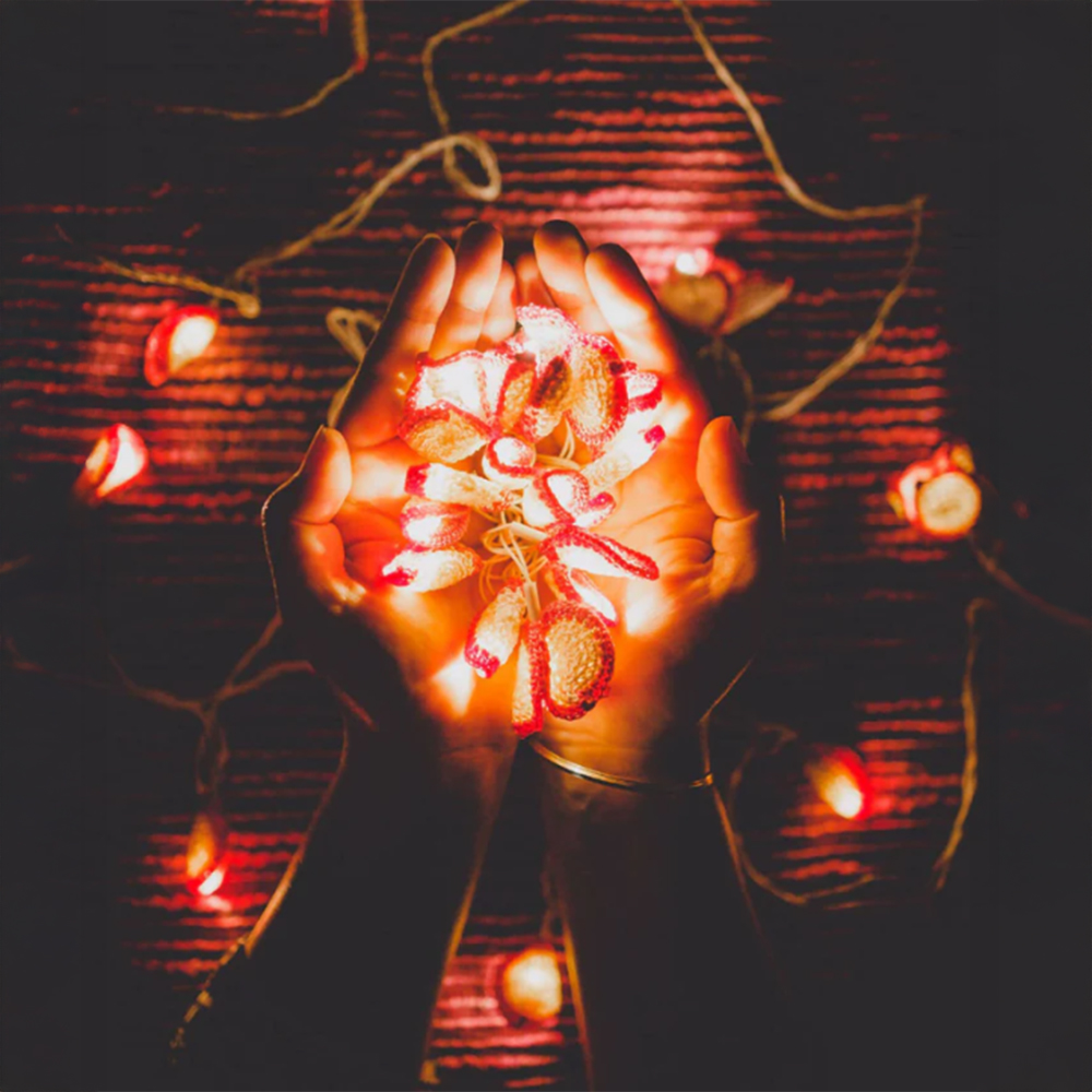 LED String Lights Pink Lily Bougainvillea