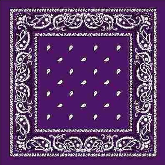 Bismaadh Unisex Cotton Paisley Printed Bandana